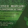 FRANCESCO MERCURI