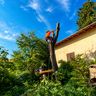 Selvia Garden di Ivan Bersan