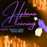 HABANA CLEANING DI OLIVA HERNANDEZ DIAMILKA