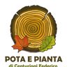 POTA E PIANTA DI CENTURIONI FEDERICO