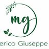 Merico Giuseppe