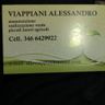 VIAPPIANI ALESSANDRO