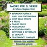 AMORE PER IL VERDE DI STOICA BOGDAN EMIL