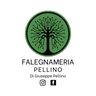 M.F. ALLESTIMENTI DI GIUSEPPE PELLINO