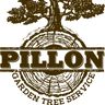 TREE SERVICE DI NICOLO PILLON