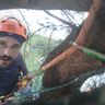 GREENGO GARDENING DI ANTONIETTI MATTIA