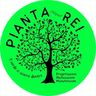 Pianta Rei di Papagno Francesco