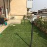 Green Care S.n.c