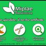 Miplae S.r.l