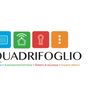 Il Quadrifoglio