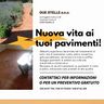 Due stelle SNC