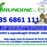 ARUNDINE S.R.L.