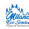 MILANO ECO SERVICE DI TOPOLINO MARCO