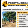 PECETTA SCAVI S.R.L.S.
