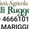 F.lli Ruggeri soc agr ss