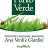 Punto verde