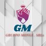 GRUPPO MONGI SRLS