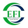 EFI MULTISERVICE DI IORDACHE ALIN SEBASTIAN