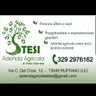 AZIENDA AGRICOLA STESI DI TRIDICI GABRIELE