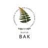 BAK DAVID