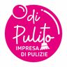 DI PULITO di Pop Nicola lonela