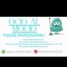 OCIO AL MOCIO DI MINGOLLA ELISA