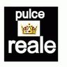 PULCE REALE SRLS