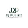 DJ PULIZIE PROFESSIONALI DI FUENTES CONTRERAS WENDY DANITZA