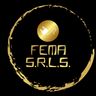 FEMA SOCIETA A RESPONSABILITA LIMITATA SEMPLIFICATA