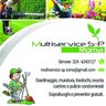 MUTLISERVICE S-P DI SIMONE SCROCCARO