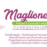 FLOROVIVAISMO MAGLIONE SALVATORE