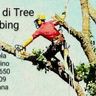 AZIENDA AGRICOLA DI MARRANDINO SABATO