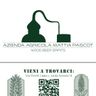 PASCOT MATTIA WOOD & BEER