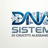 DNA SISTEMI DI CRUCITTI ALESSANDRO