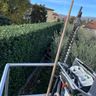 I GIARDINI DEL TRINCI DI TRINCI EDOARDO
