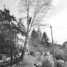 SHERWOOD GIARDINI E ALBERI DI PITTALUGA ANDREA