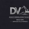 DVM TECH SRLS