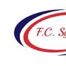 F.C. SYSTEMI srl