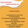MULTICOLOR E CARTONGESSO - SOCIETA A RESPONSABILITA LIMITATA SEMPLIFICATA