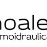 MOALE TERMOIDRAULICA