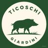 TICOSCHI GABRIEL