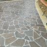 EdoScogna