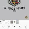 SUSCEPTUM EUROPE SRL