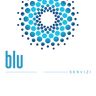BLU EXPERIENCE SRLS