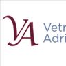 VETRERIA ADRIESE DI ANDREOTTI VALERIA