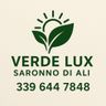 VERDELUXSARONNO DI AL SAYED ALI