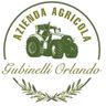 GUBINELLI ORLANDO