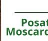 Passione Ceramiche di Moscardo Alex
