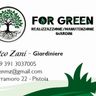 FOR GREEN DI MATTEO ZANI