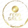 FEMA SOCIETA A RESPONSABILITA LIMITATA SEMPLIFICATA